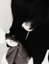 декабрь