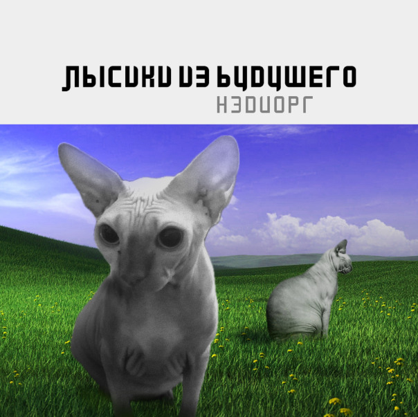Нэд Такеда