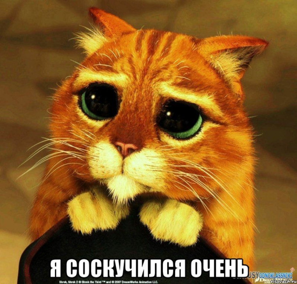 Фотографии со стены