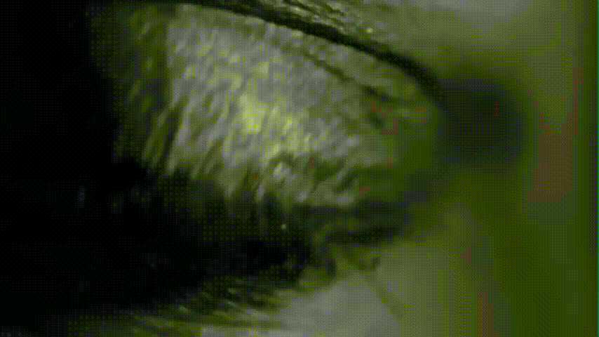 ARCH ENEMY - Nemesis