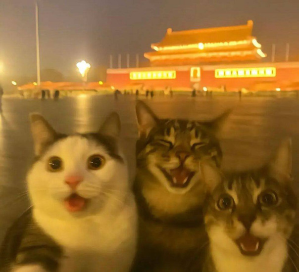 Метью Мэтович