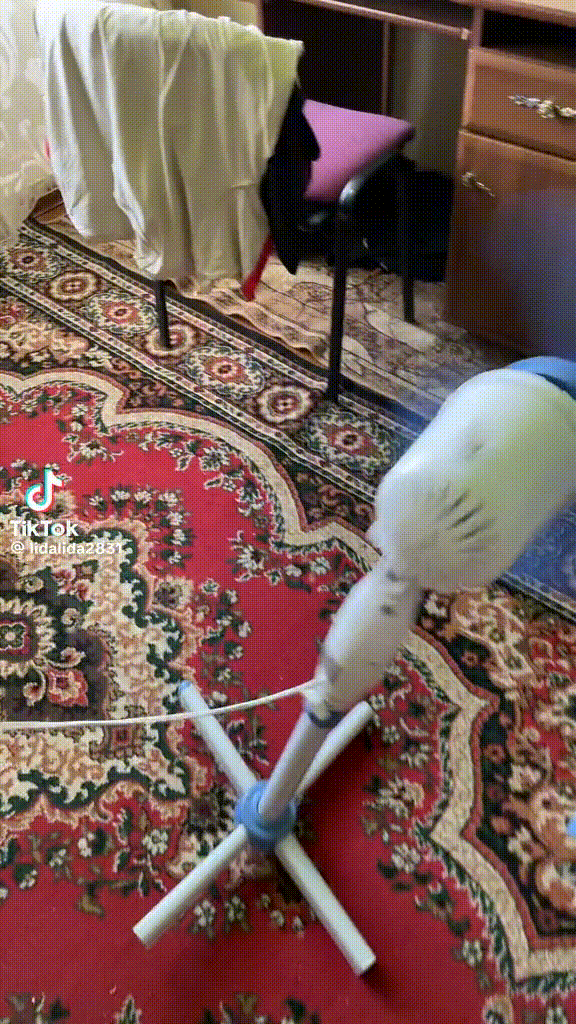 wqefff