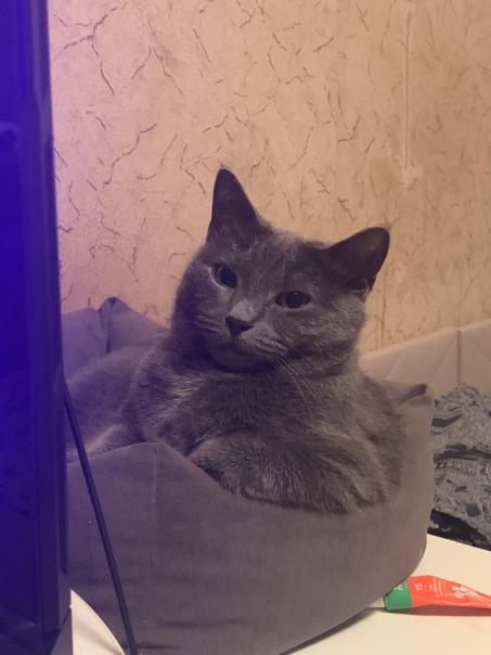 Иван Коростелев