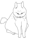 Кот от Kol Nicholas