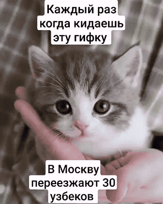 gif photo view