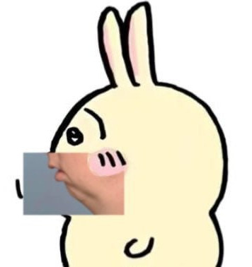 Ваккич Бнуй