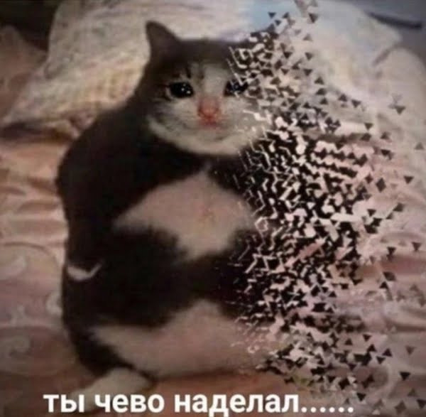 Вова Ковалив