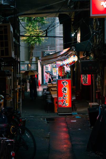 Source: https://www.deviantart.com/lunafeles/art/Streets-of-Ameyoko-1246516806