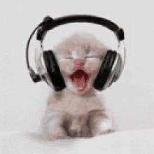 gif photo view