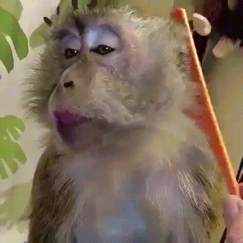 Обязянка