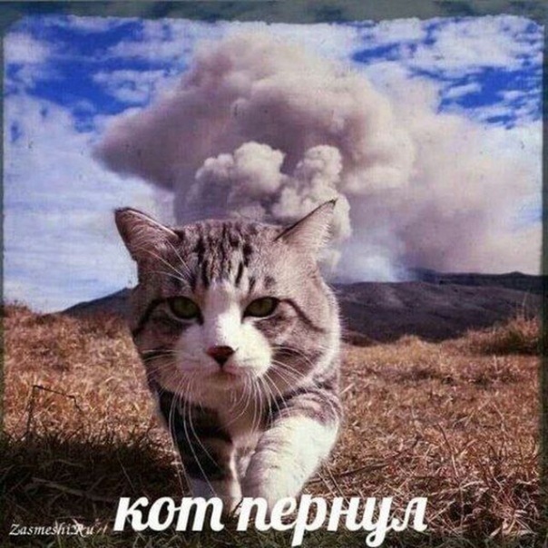 Коке Рял